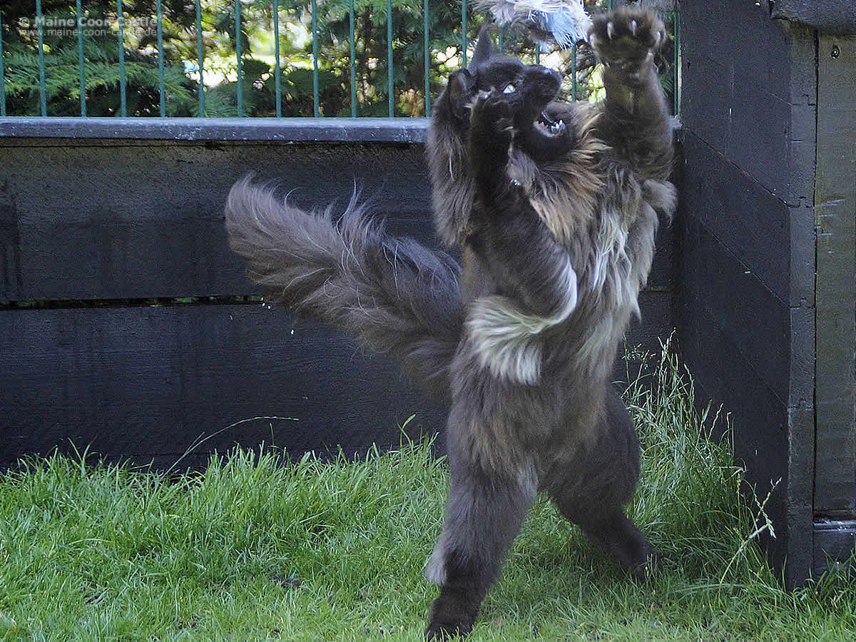 Franzy 11 Monate Franzy 11 Monate