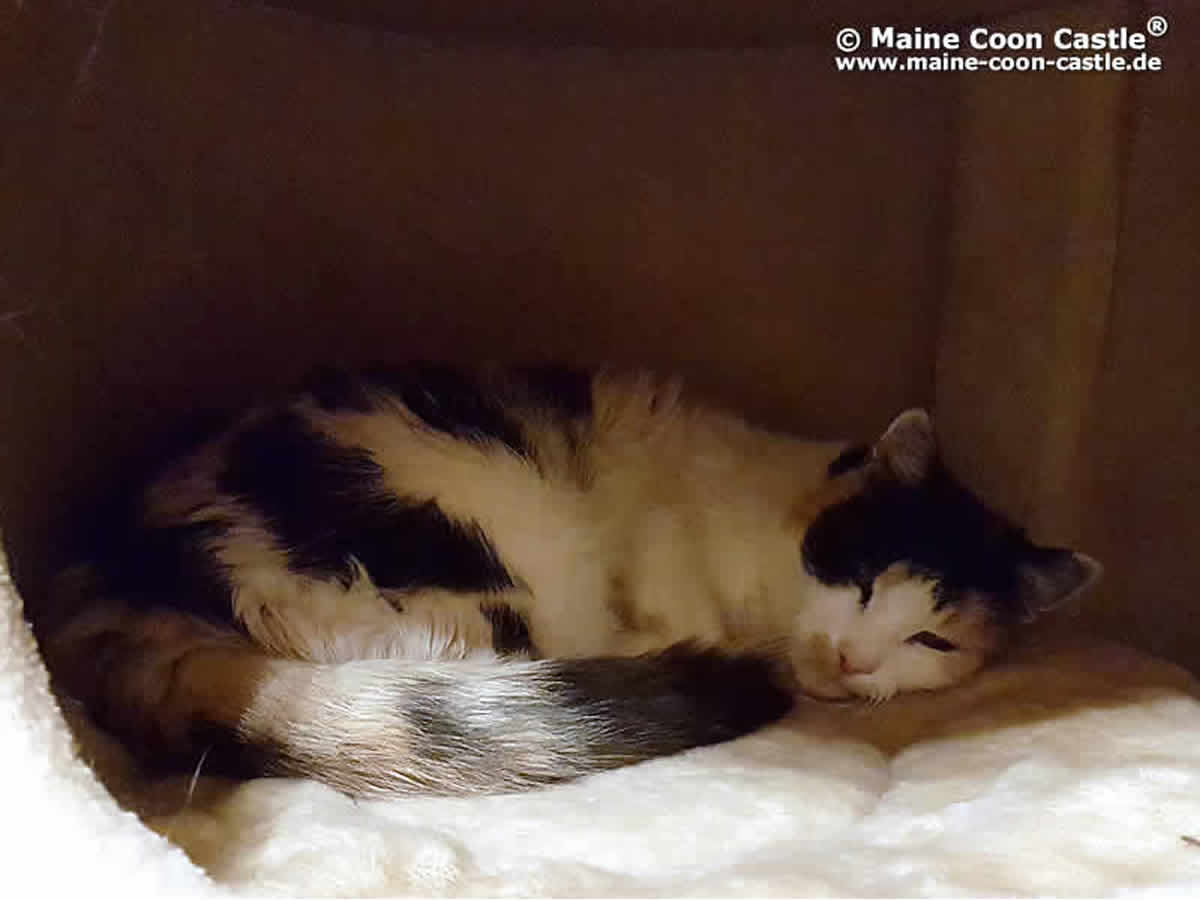 Luzi ist 16 Jahre alt Luzi 91