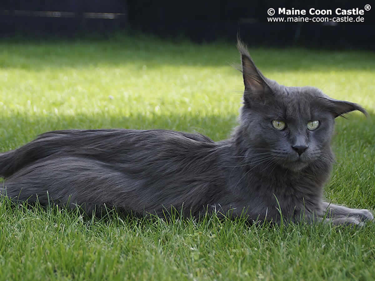 Mia 2 Jahre und 4 Monate alt Mia 83