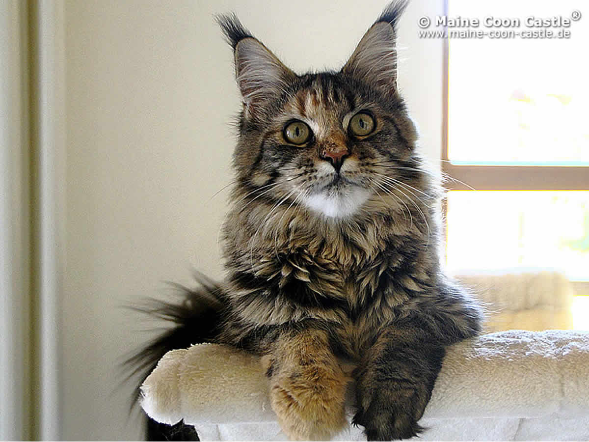 Polly 9 Monate alt Polly 95