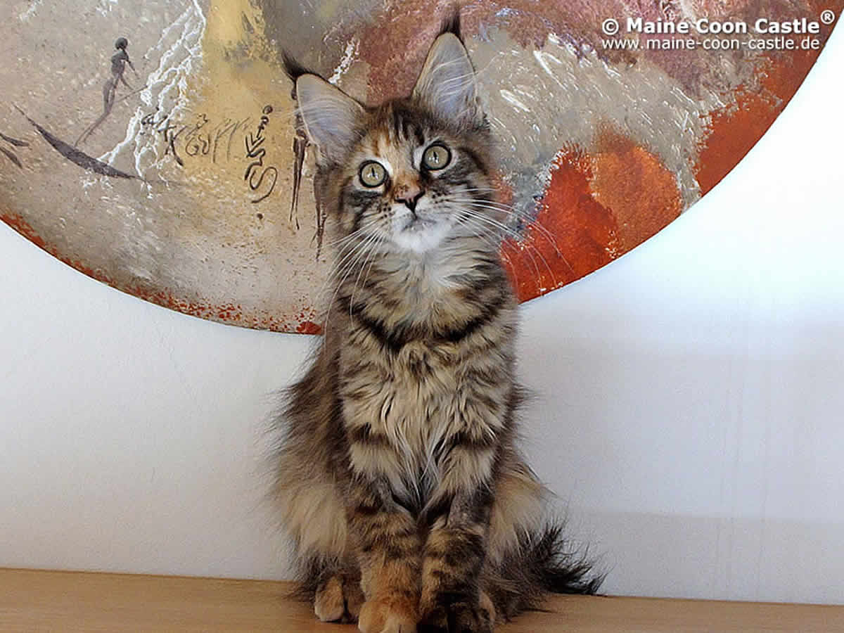 Polly 4 Monate alt Polly 97