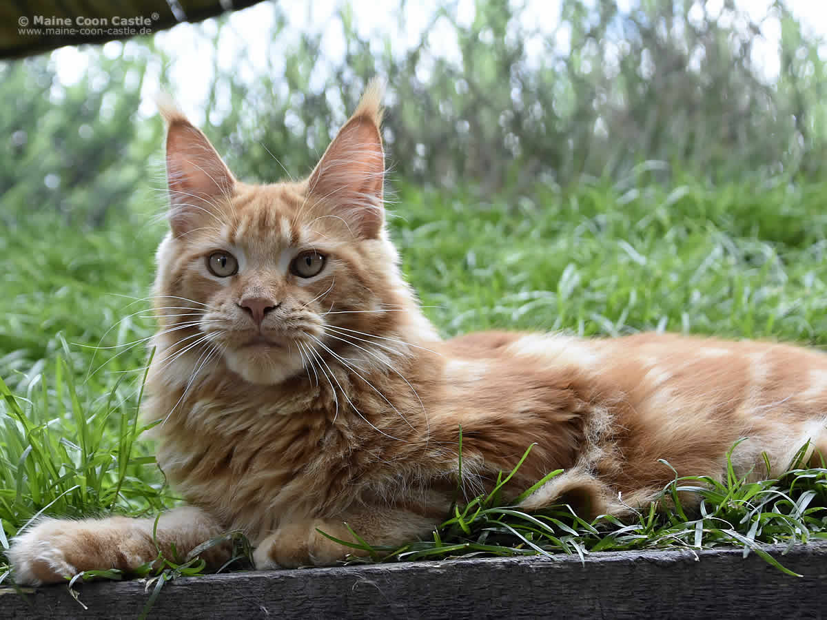 Zeus 7 Monate Zeus 7 Monate