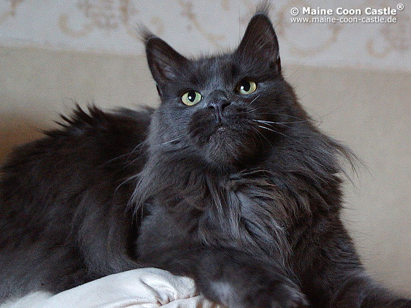 Frieda 2,5 Jahre Frieda 2,5 Jahre