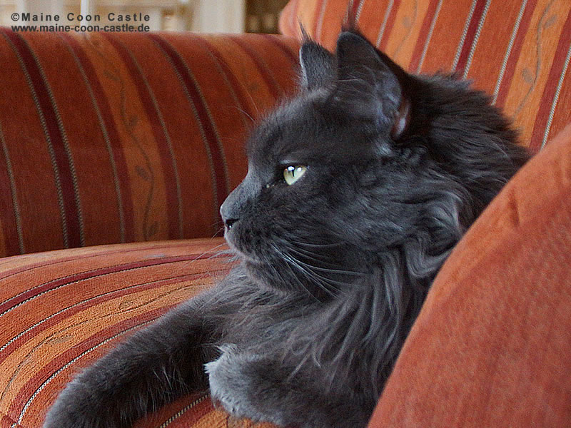 Frieda 2 Jahre Frieda 2 Jahre