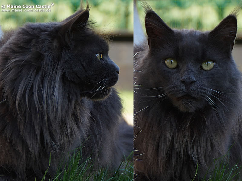 Frieda ist umwerfend! Frieda ist umwerfend!