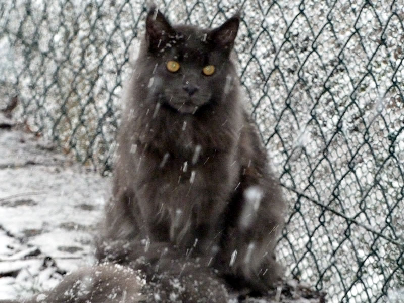 Das erste Mal Schnee Das erste Mal Schnee