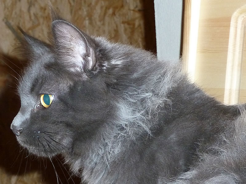 Frieda 5 Monate Frieda 5 Monate