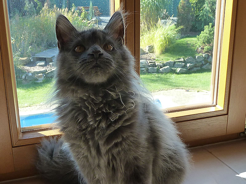 Frieda 4 Monate Frieda 4 Monate