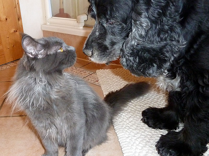 Frieda 3 Monate mit Maurice Frieda 3 Monate mit Maurice