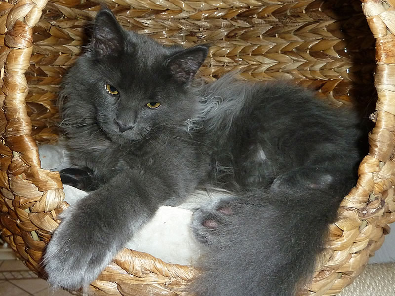 Frieda 3 Monate Frieda 3 Monate