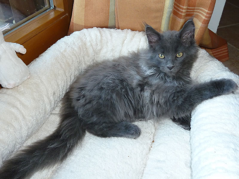 Frieda 13 Wochen Frieda 13 Wochen