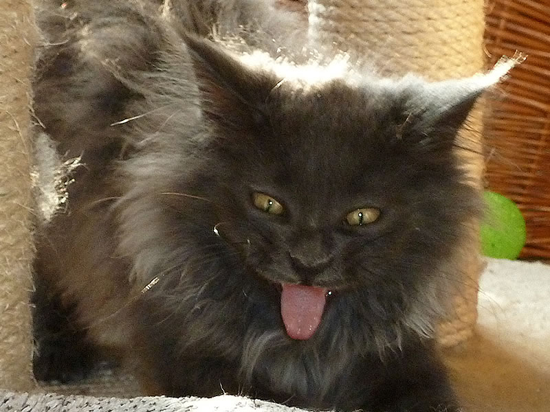 Frieda 13 Wochen Frieda 13 Wochen