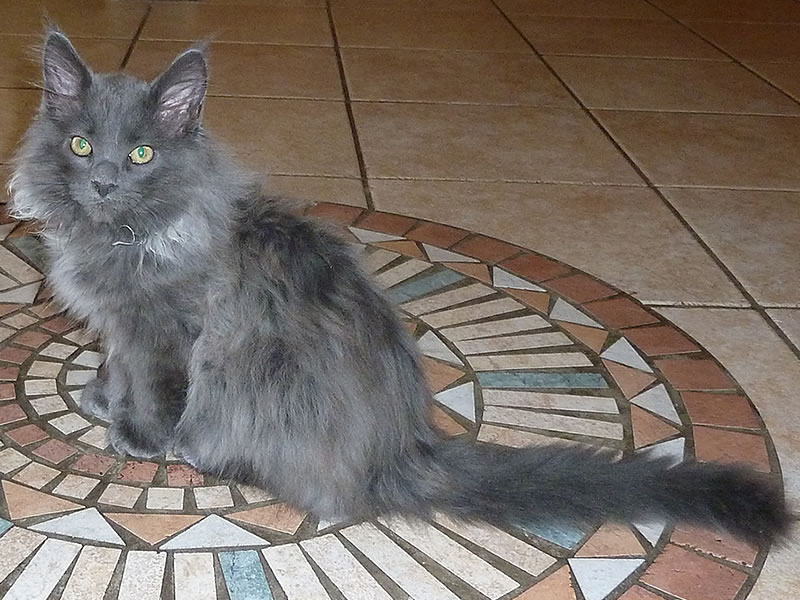 Frieda 12 Wochen Frieda 12 Wochen