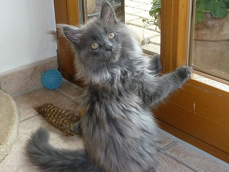 Frieda 10 Wochen Frieda 10 Wochen