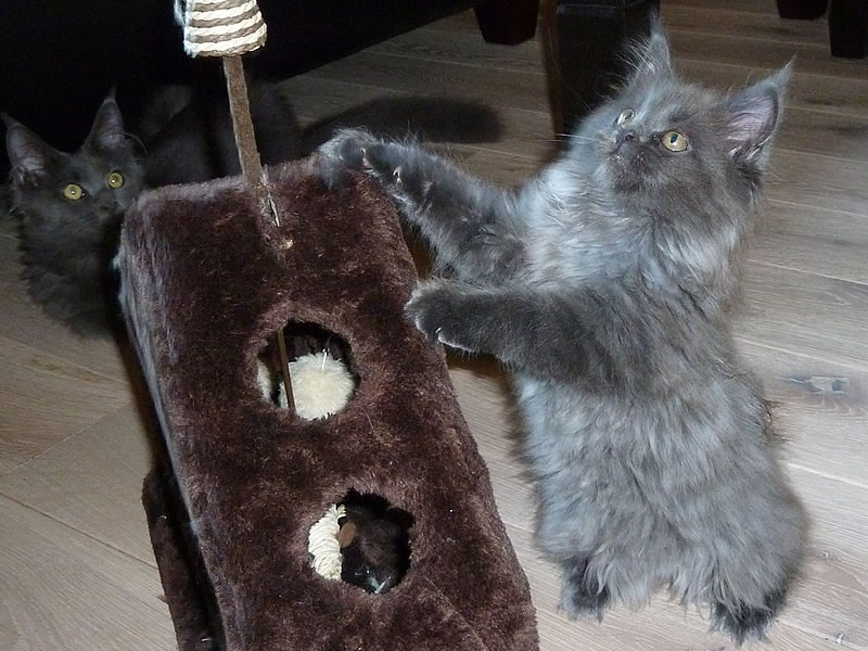 Frieda 9 Wochen Frieda 9 Wochen