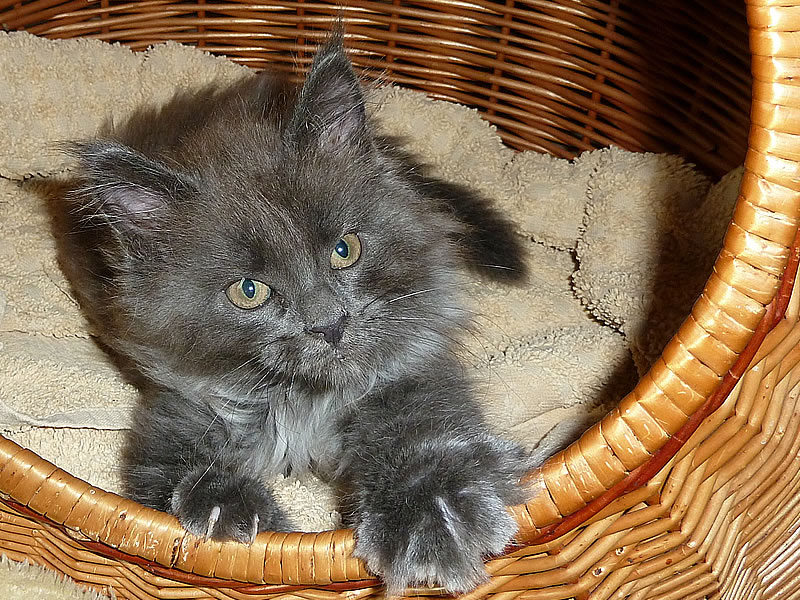 Frieda 9 Wochen Frieda 9 Wochen