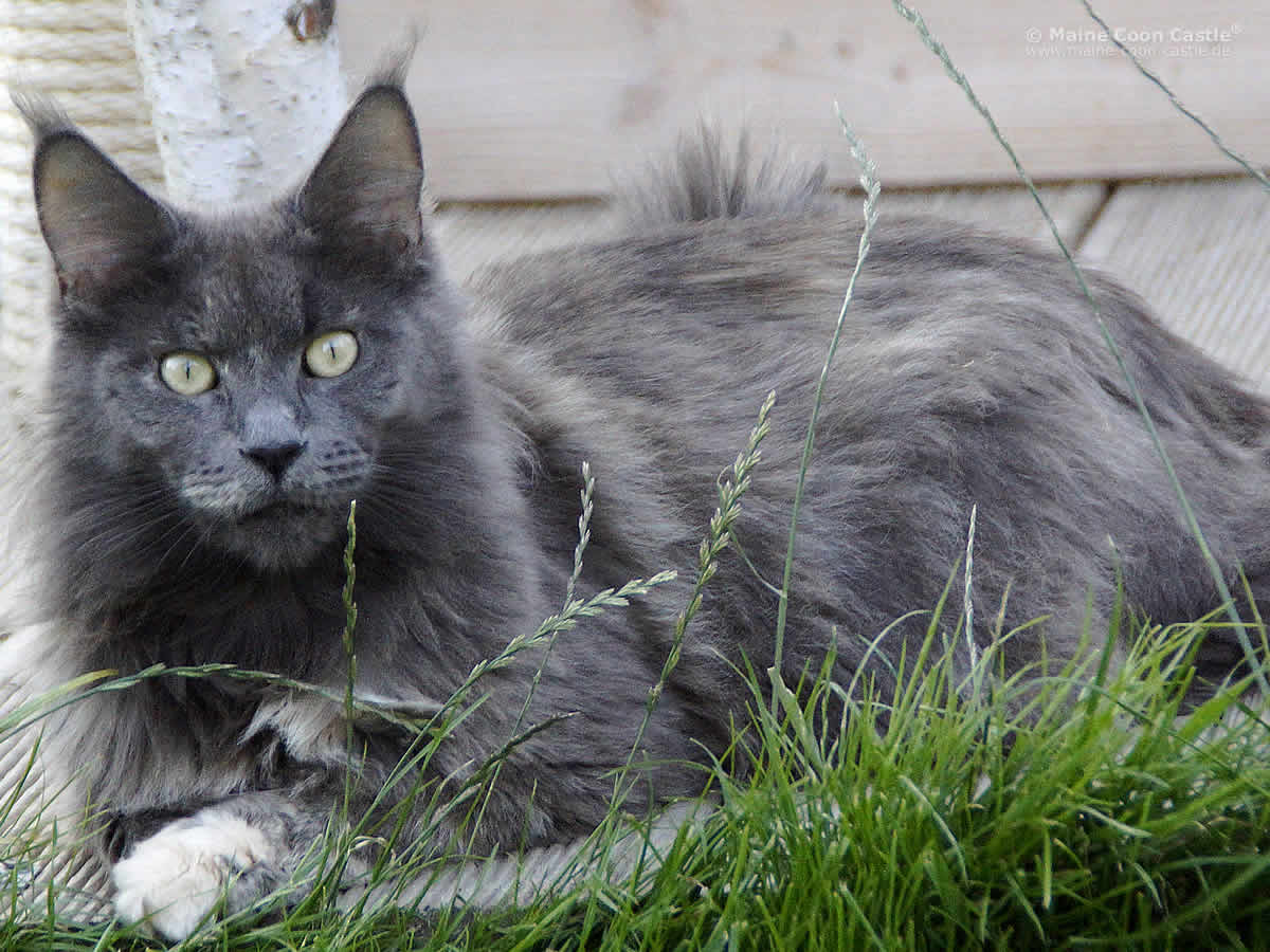 Hana 2 Jahre 2 Monate Hana 2 Jahre 2 Monate