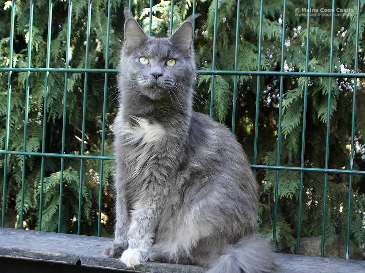 Hana 3 Jahre 2 Monate Hana 3 Jahre 2 Monate