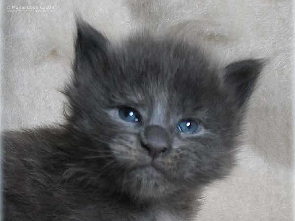 Hana 3 Wochen Hana 3 Wochen