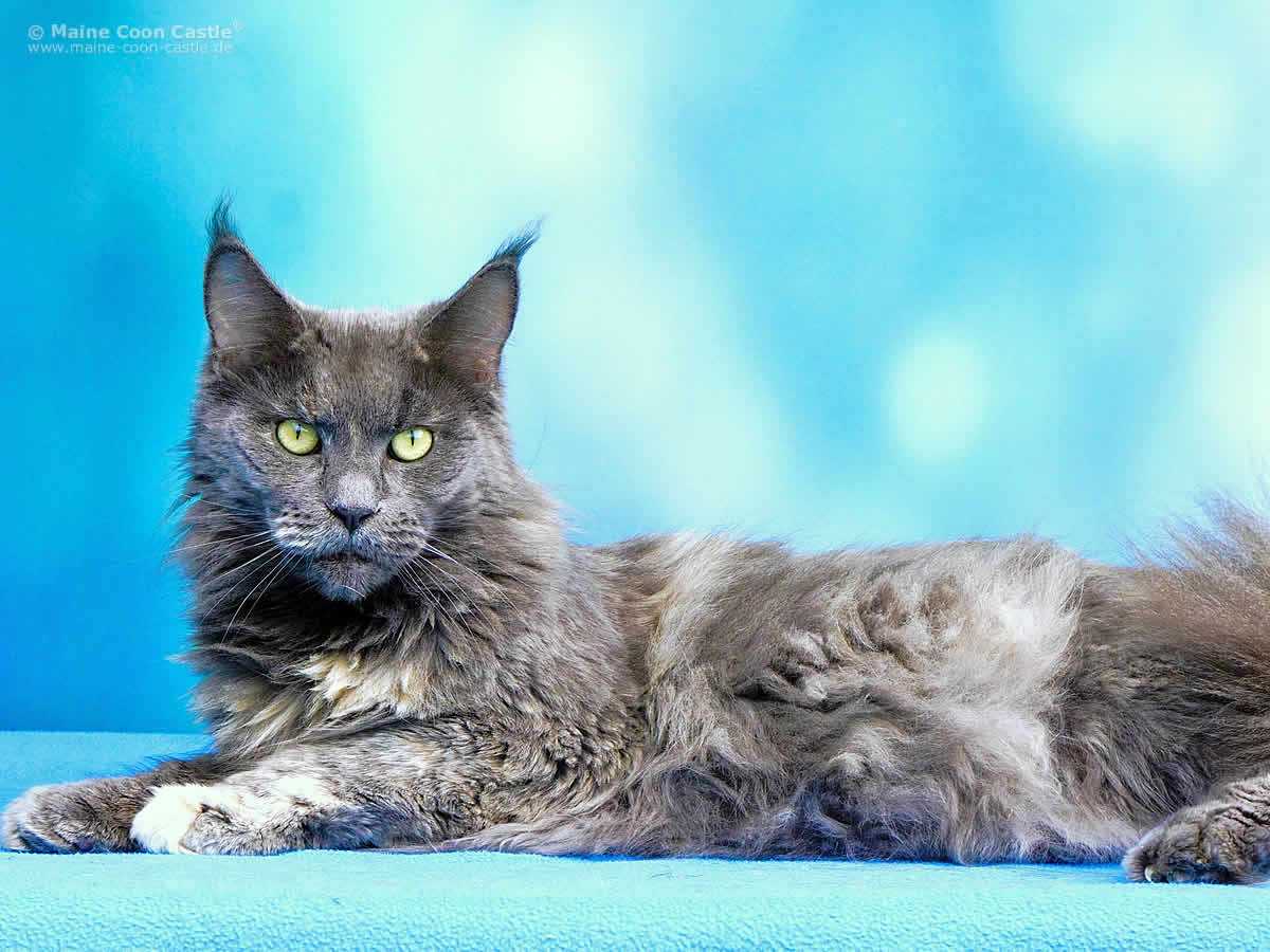 Hana 4 Jahre 4 Monate Hana 4 Jahre 4 Monate