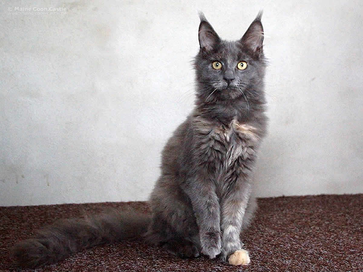 Hana 5 Monate Hana 5 Monate