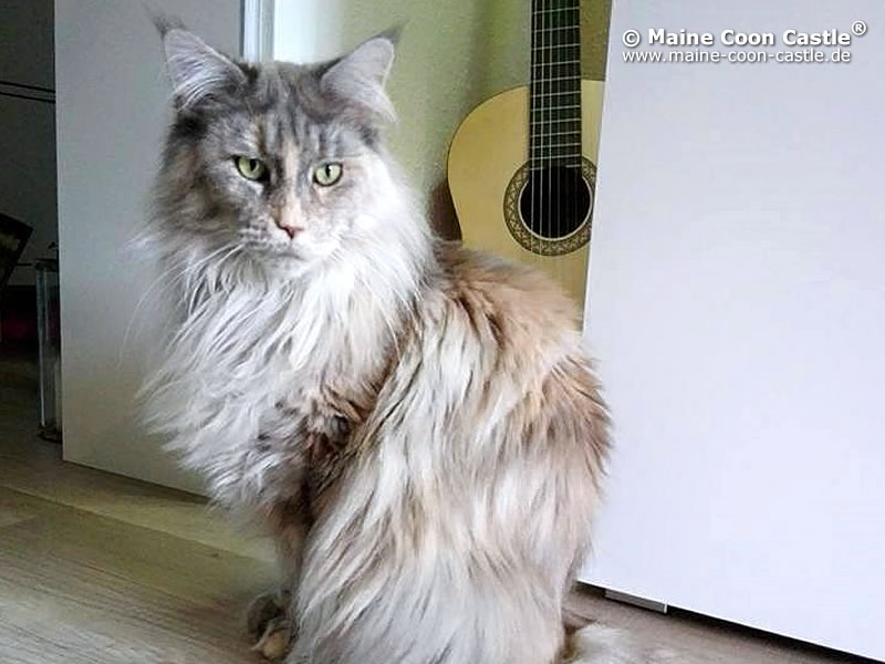 Nelly 5 Jahre und 4 Monate alt Nelly 5 Jahre und 4 Monate alt