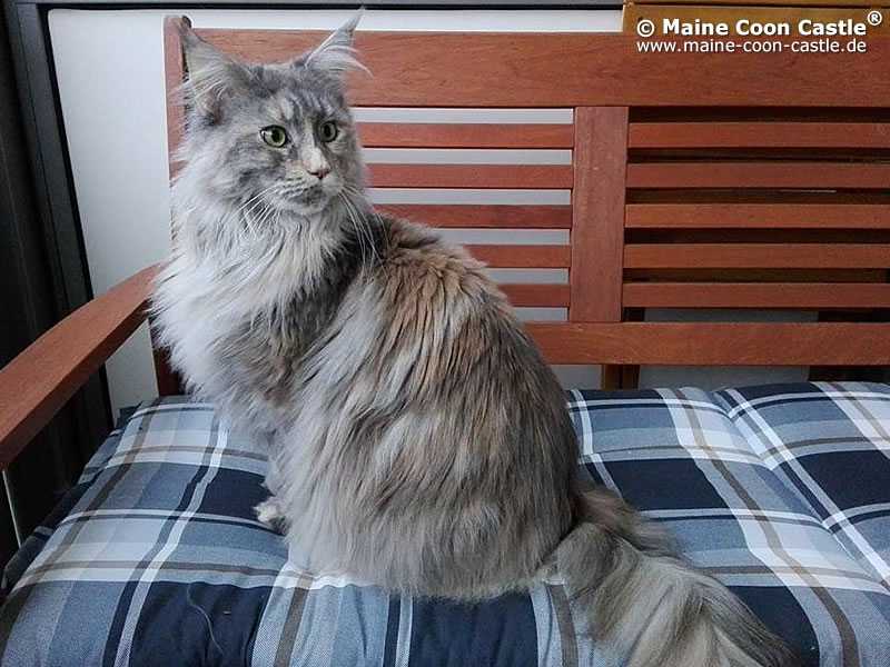 Nelly 4 Jahre und 6 Monate alt Nelly 4 Jahre und 6 Monate alt