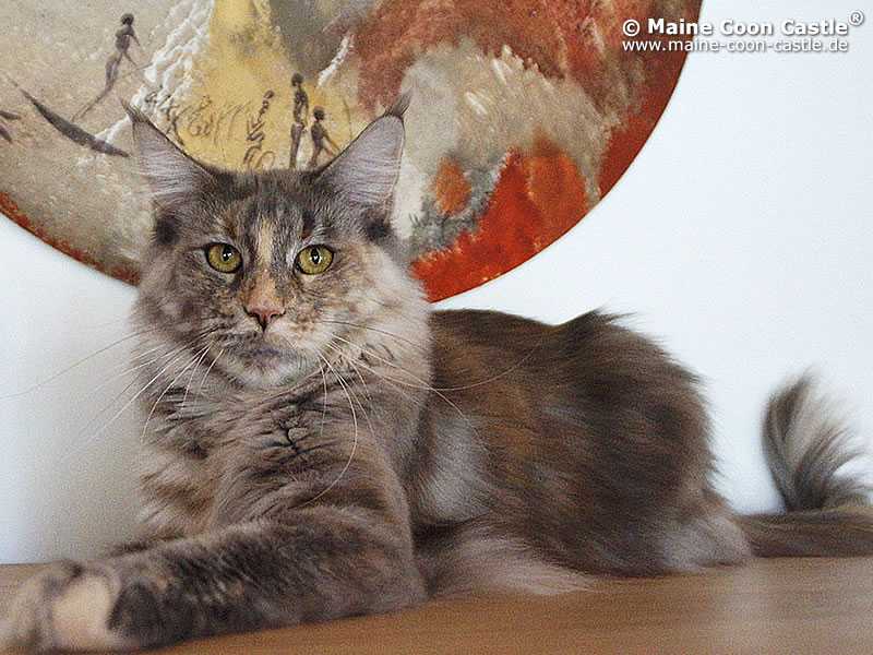 Nelly 2 Jahre und 4 Monate alt Nelly 2 Jahre und 4 Monate alt