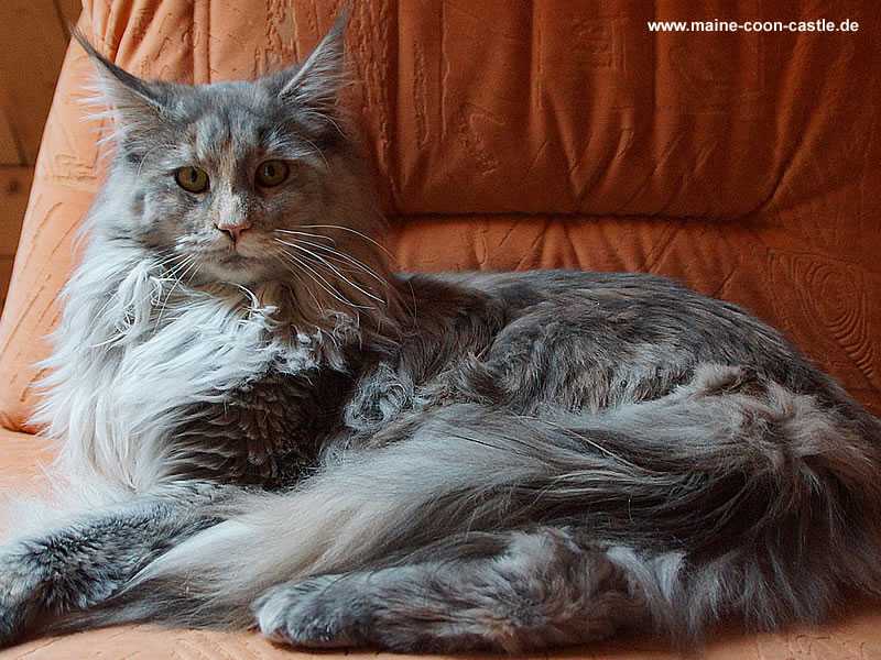 Nelly 7 Monate alt Nelly 7 Monate alt