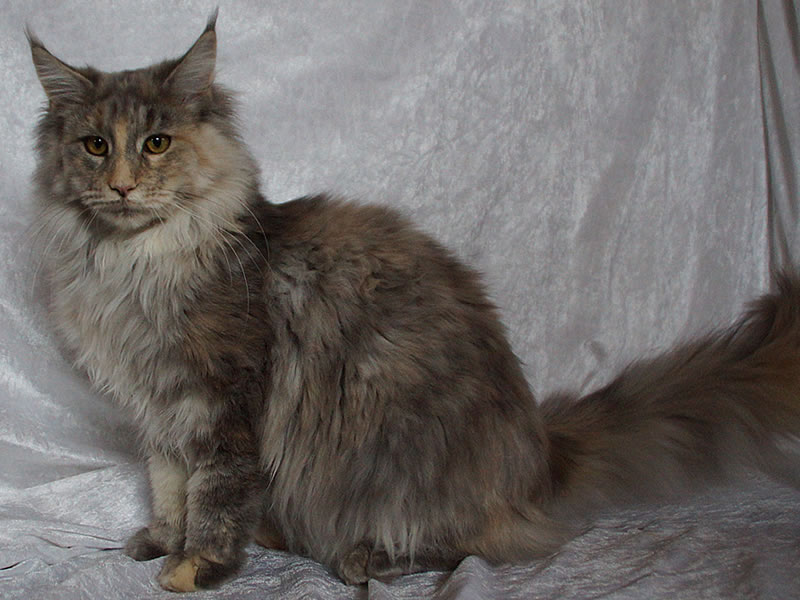 Nelly 6 Monate alt Nelly 6 Monate alt