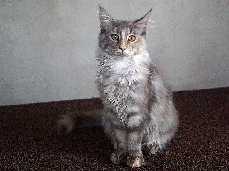 Nelly 5,5 Monate alt Nelly 5,5 Monate alt