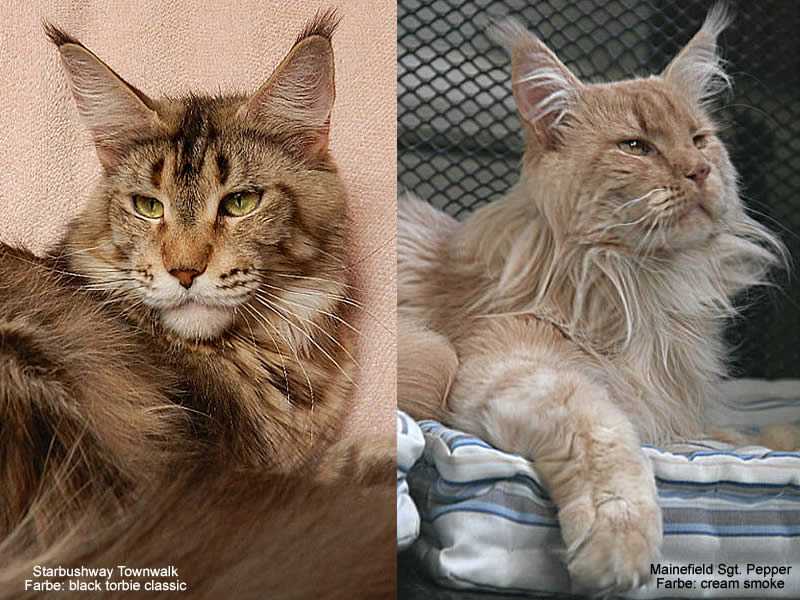 Die Eltern von Nelly Die Eltern von Nelly