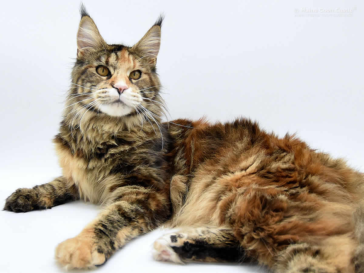 Peggy 1 Jahr Peggy 1 Jahr