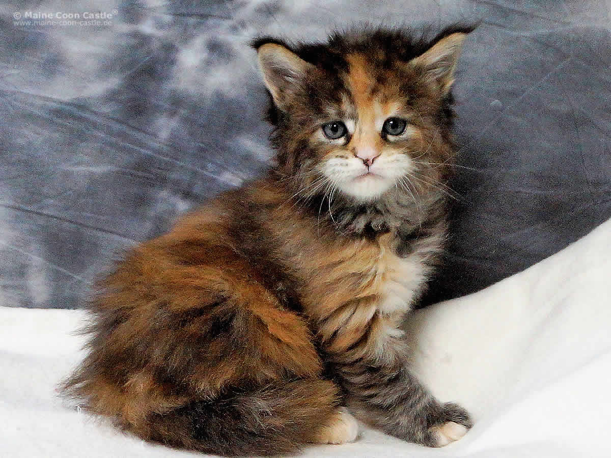 Peggy 5 Wochen Peggy 5 Wochen