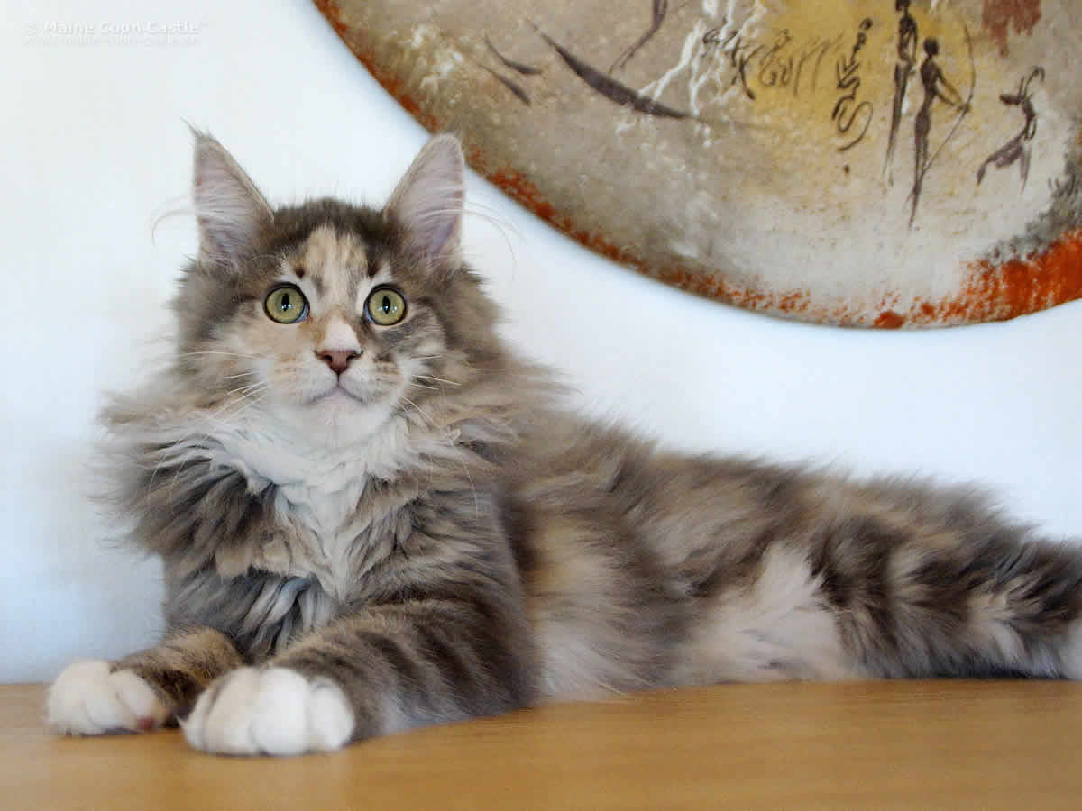 Ronny 4,5 Monate Ronny 4 5 Monate