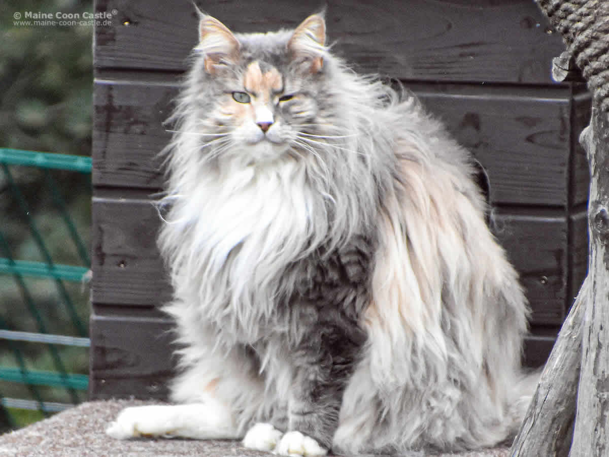 Ronny 5 Jahre 9 Monate Ronny 5 Jahre 9 Monate