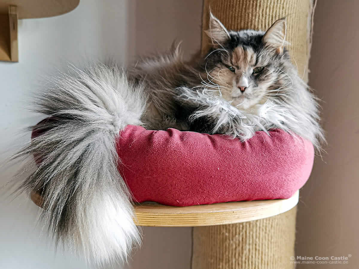 Ronny 9 Jahre und 5 Monate alt Ronny 9 Jahre und 5 Monate alt