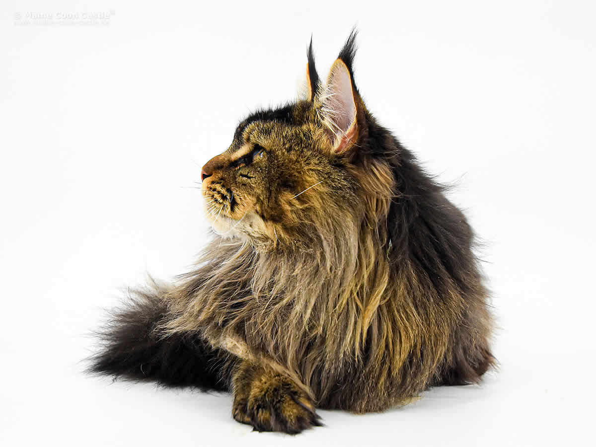 Zeno 11 Monate Zeno 11 Monate