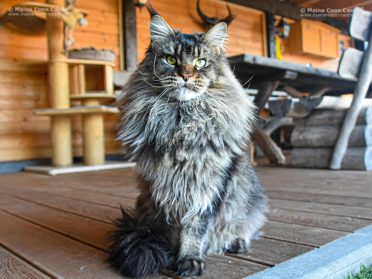 Zeno 1 Jahr und 2 Monate alt Zeno 1 Jahr und 2 Monate alt