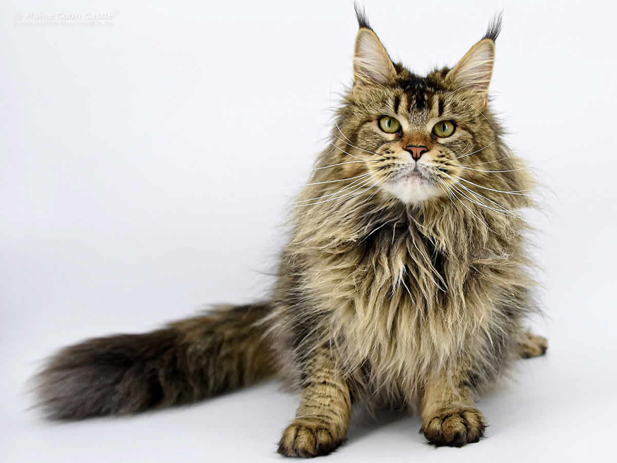 Nadja 2 Jahre 1 Monat Nadja 2 Jahre 1 Monat