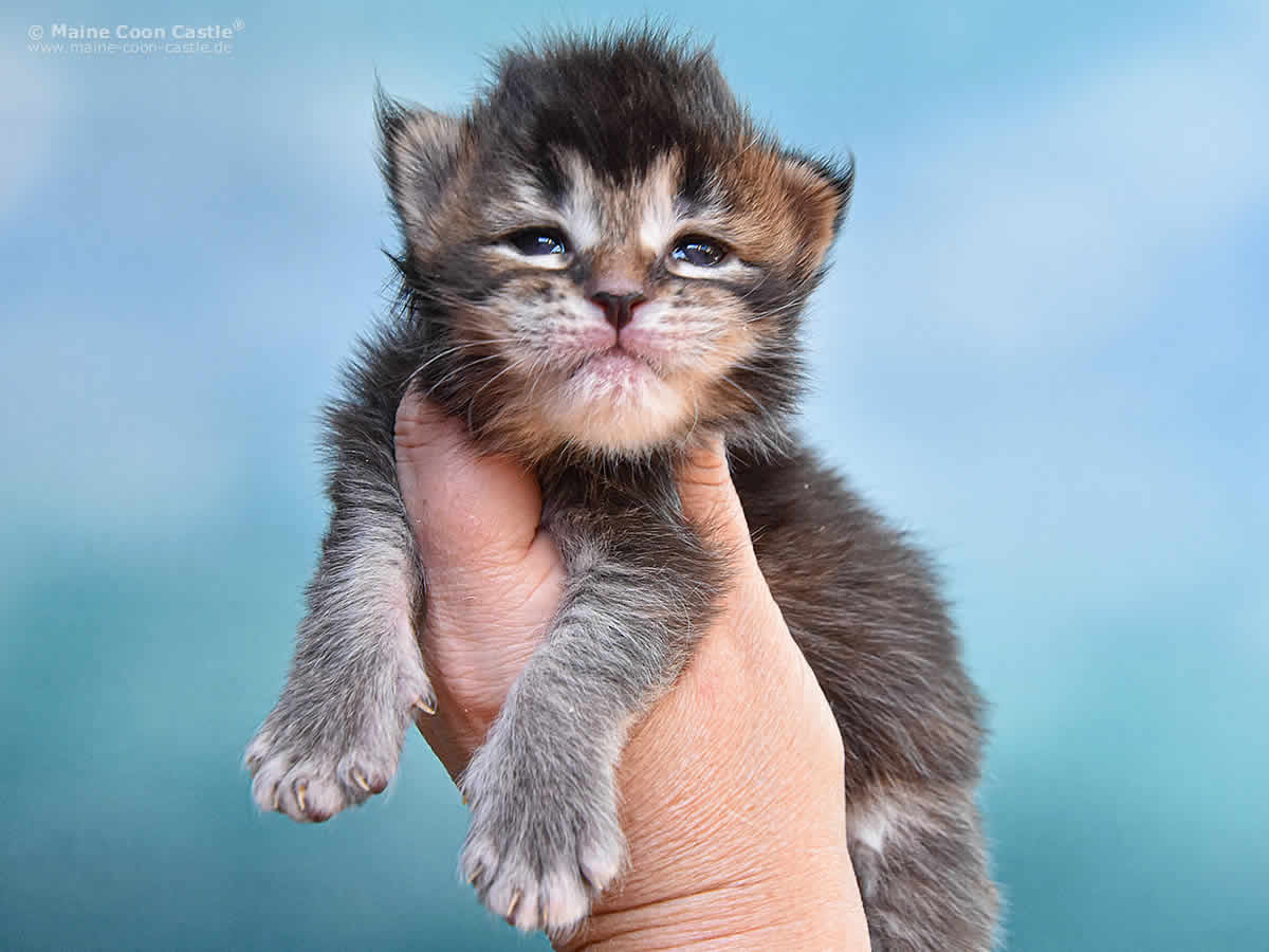 Nadja 2 Wochen Nadja 2 Wochen