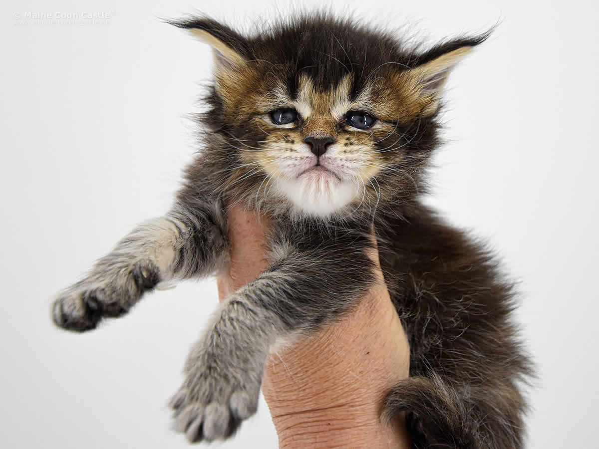 Nadja 4 Wochen Nadja 4 Wochen