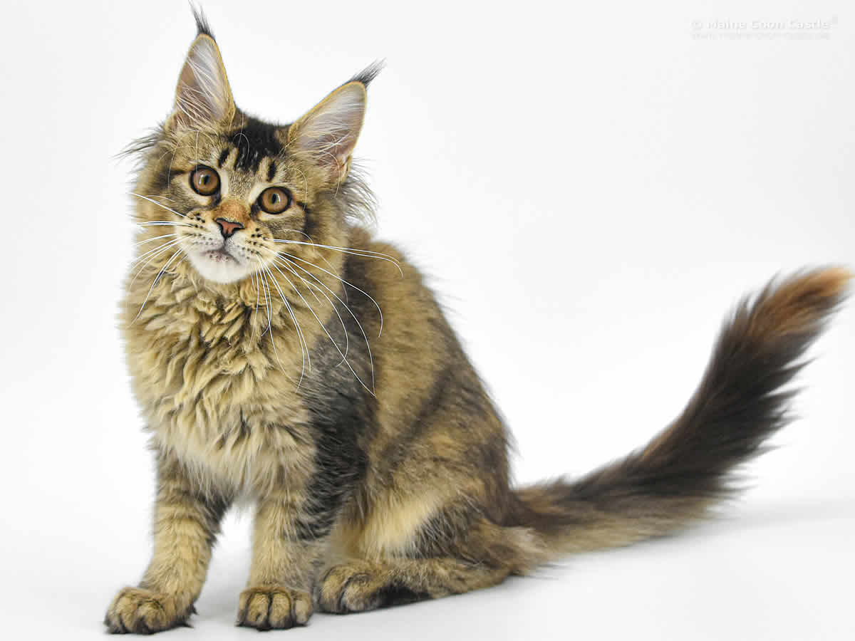 Nadja 5 Monate Nadja 5 Monate