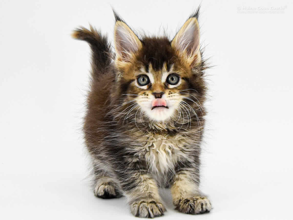 Nadja 7 Wochen Nadja 7 Wochen