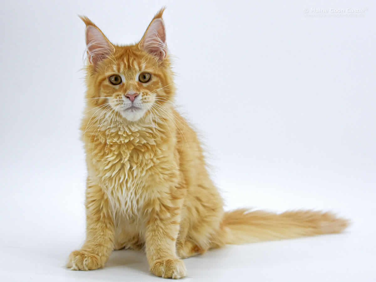 Nanny 5 Monate Nanny 5 Monate