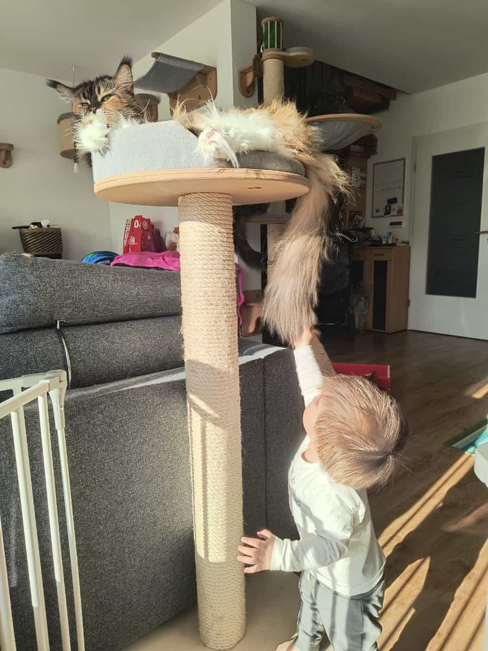 Ähm….. Wie war das doch gleich… Ähm..... Wie war das doch gleich...