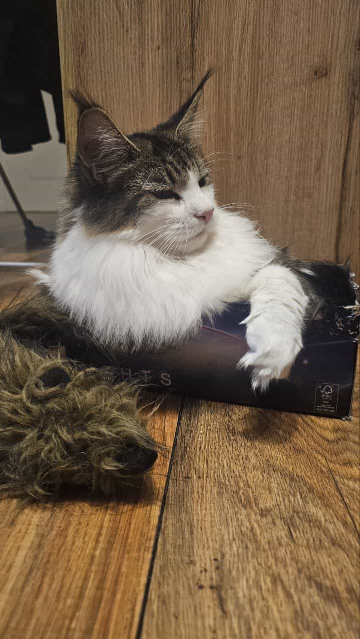 Auch ein Kinderschuhkarton passt Auch ein Kinderschuhkarton passt