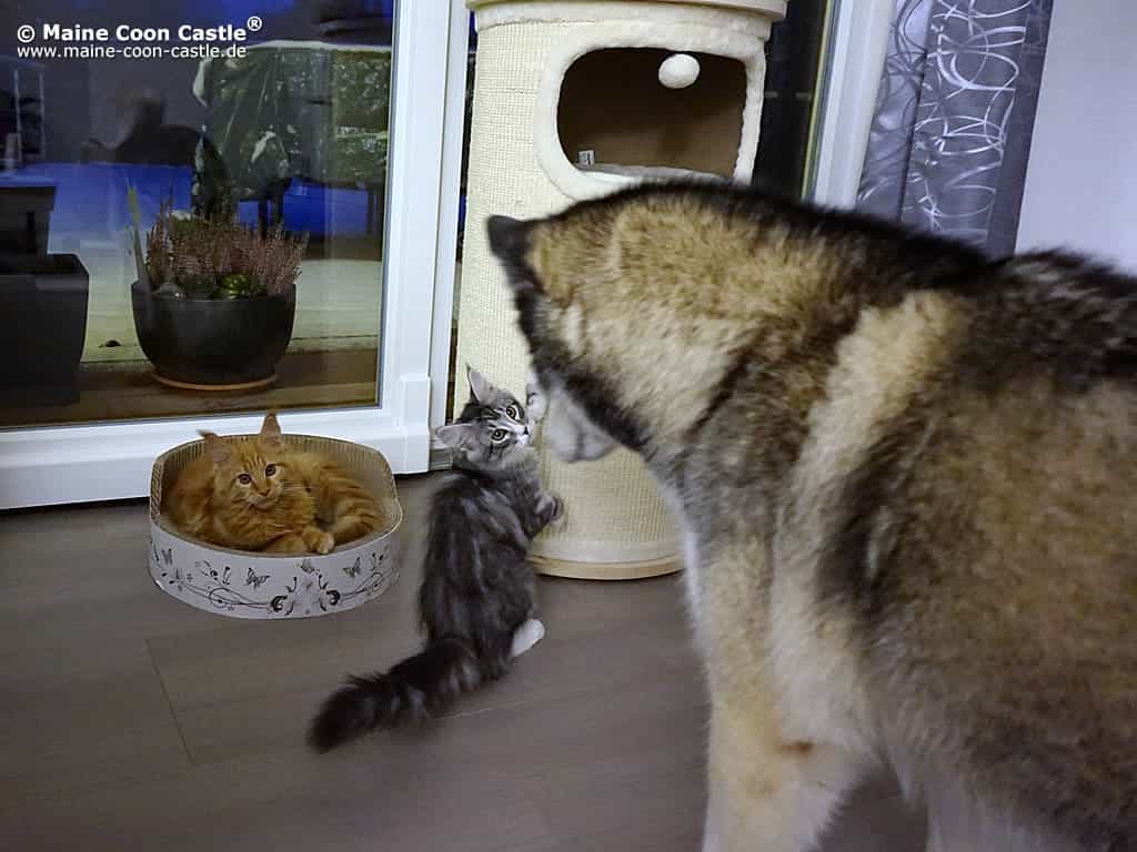 Erich und Fay mit Hundekumpel Erich und Fay mit Hundekumpel