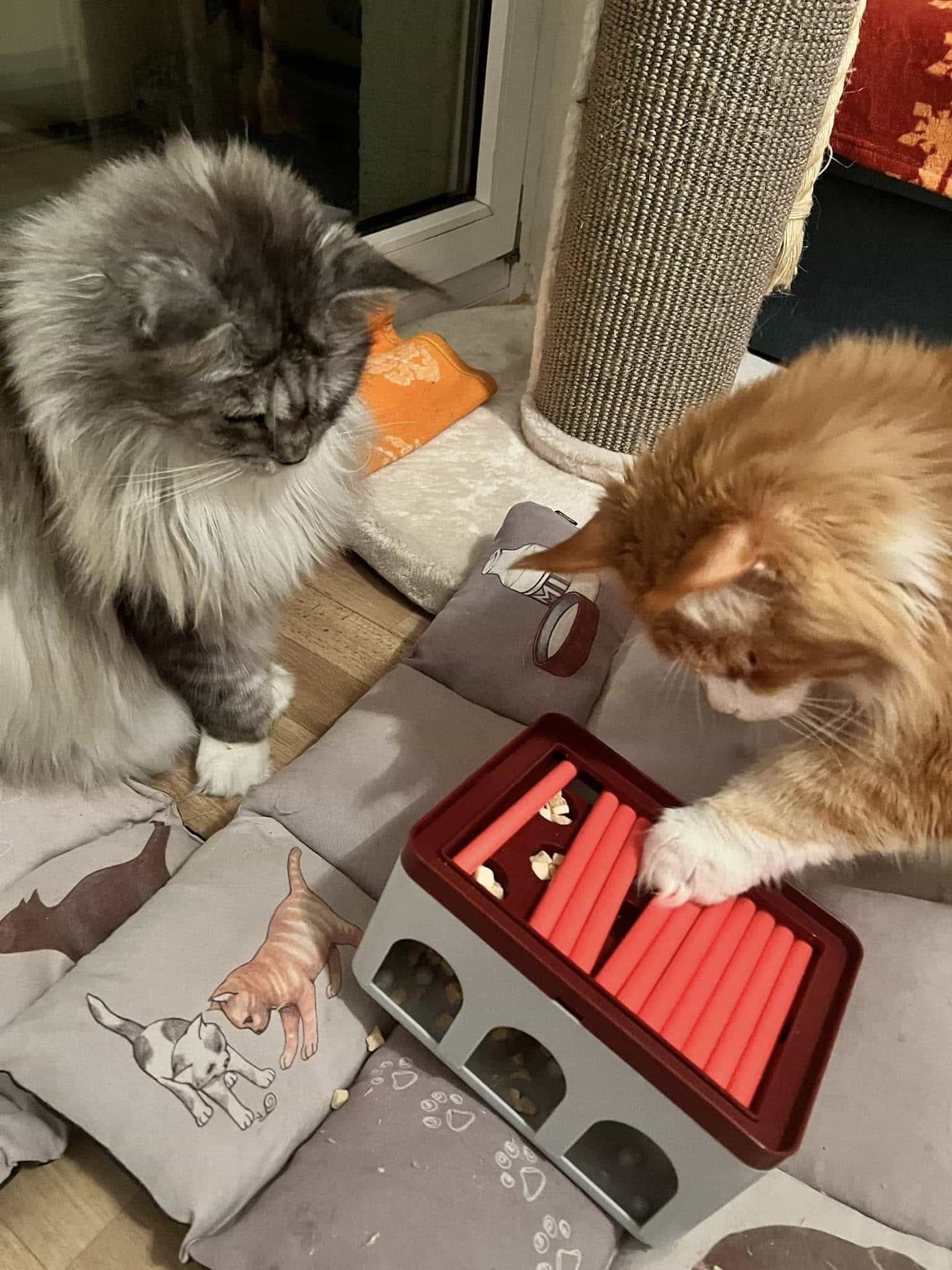 Fanny und Wotan Fanny und Wotan