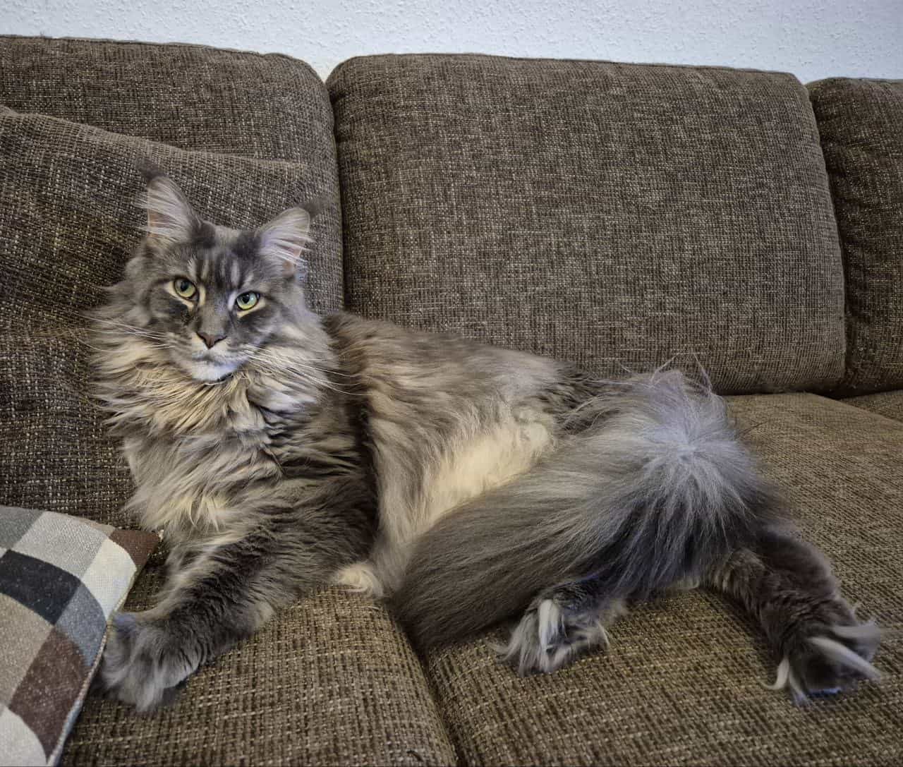 Hab die Kerle von der Couch geschubst. So! Hab die Kerle von der Couch geschubst. So!